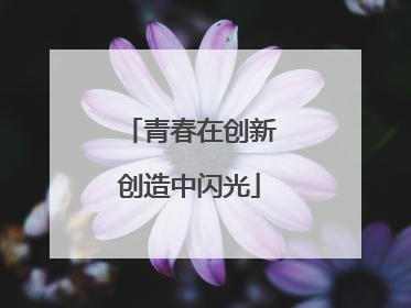青春在创新创造中闪光