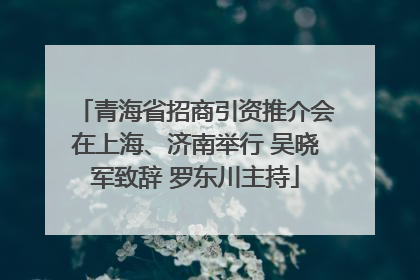 青海省招商引资推介会在上海、济南举行 吴晓军致辞 罗东川主持