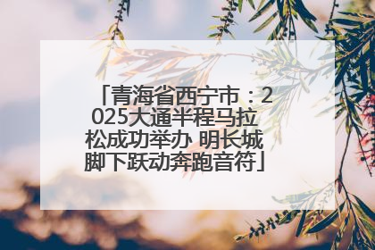 青海省西宁市：2025大通半程马拉松成功举办 明长城脚下跃动奔跑音符