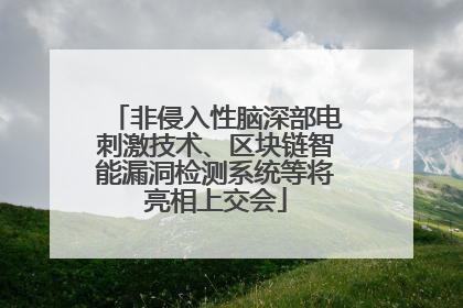 非侵入性脑深部电刺激技术、区块链智能漏洞检测系统等将亮相上交会
