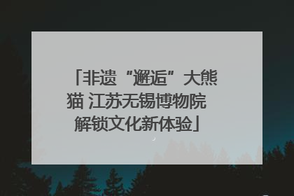 非遗“邂逅”大熊猫 江苏无锡博物院解锁文化新体验