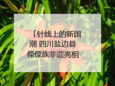 针线上的新国潮 四川盐边县傈僳族非遗亮相西博会｜图集