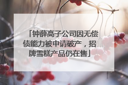 钟薛高子公司因无偿债能力被申请破产，招牌雪糕产品仍在售