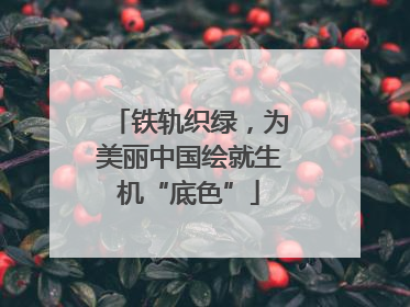 铁轨织绿，为美丽中国绘就生机“底色”