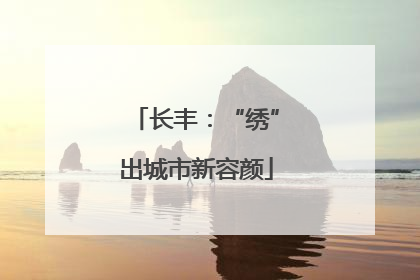 长丰：“绣”出城市新容颜