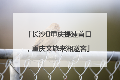 长沙⇌重庆提速首日，重庆文旅来湘邀客