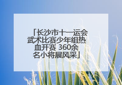 长沙市十一运会武术比赛少年组热血开赛 360余名小将展风采