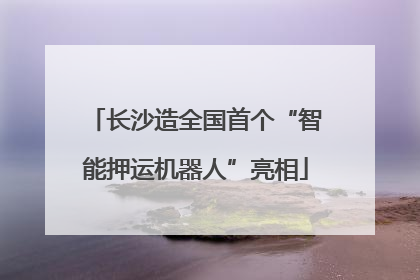 长沙造全国首个“智能押运机器人”亮相
