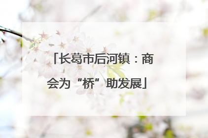 长葛市后河镇：商会为“桥”助发展
