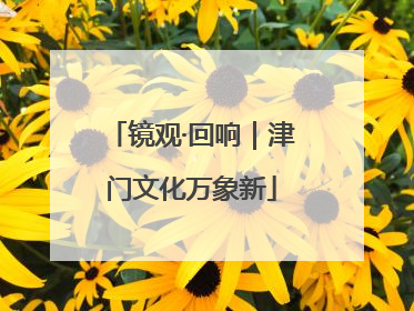 镜观·回响｜津门文化万象新