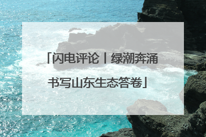 闪电评论丨绿潮奔涌 书写山东生态答卷