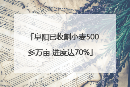 阜阳已收割小麦500多万亩 进度达70%