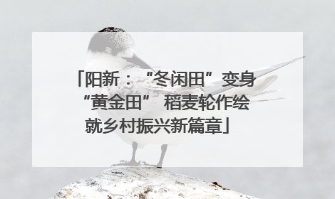 阳新：“冬闲田”变身“黄金田” 稻麦轮作绘就乡村振兴新篇章