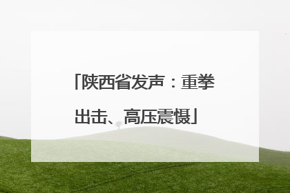 陕西省发声：重拳出击、高压震慑