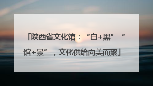 陕西省文化馆：“白+黑”“馆+景”，文化供给向美而聚
