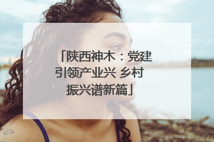 陕西神木：党建引领产业兴 乡村振兴谱新篇