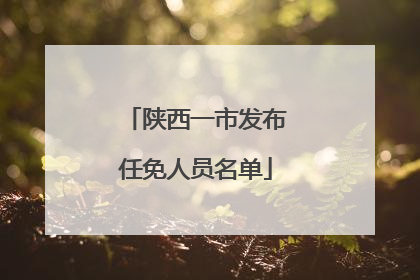 陕西一市发布任免人员名单