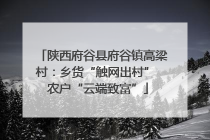 陕西府谷县府谷镇高梁村：乡货“触网出村” 农户“云端致富”