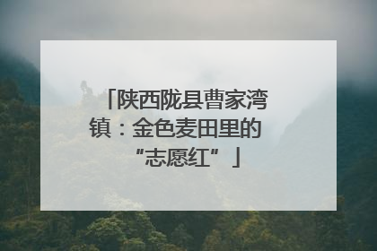 陕西陇县曹家湾镇：金色麦田里的“志愿红”