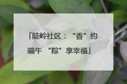 陡岭社区：“香”约端午 “粽”享幸福
