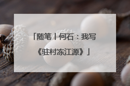 随笔丨何石：我写《驻村冻江源》