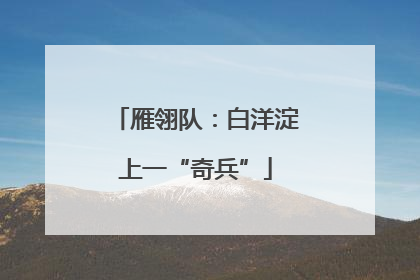 雁翎队：白洋淀上一“奇兵”