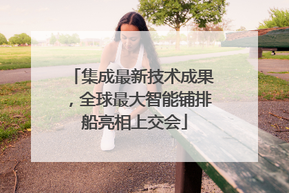 集成最新技术成果，全球最大智能铺排船亮相上交会