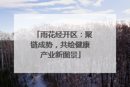 雨花经开区：聚链成势，共绘健康产业新图景