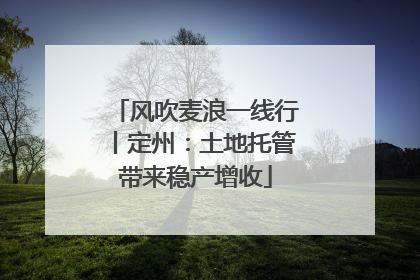 风吹麦浪一线行丨定州：土地托管带来稳产增收