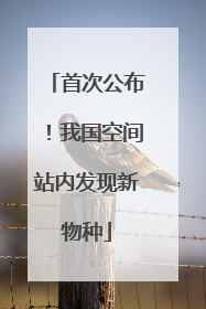 首次公布！我国空间站内发现新物种