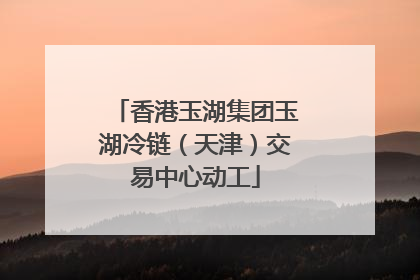 香港玉湖集团玉湖冷链（天津）交易中心动工