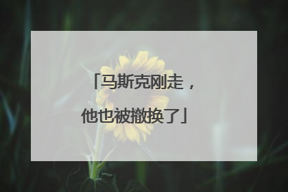 马斯克刚走，他也被撤换了