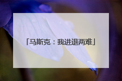 马斯克：我进退两难