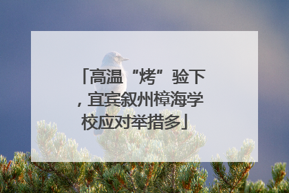 高温“烤”验下，宜宾叙州樟海学校应对举措多