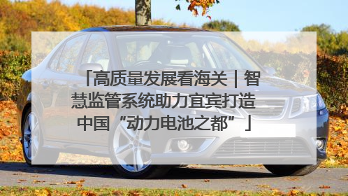 高质量发展看海关｜智慧监管系统助力宜宾打造中国“动力电池之都”