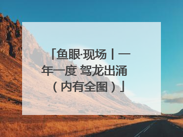鱼眼·现场丨一年一度 驾龙出涌（内有全图）