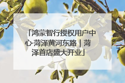 鸿蒙智行授权用户中心·菏泽黄河东路｜菏泽首店盛大开业