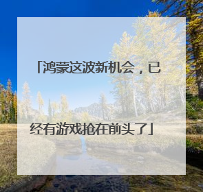 鸿蒙这波新机会，已经有游戏抢在前头了