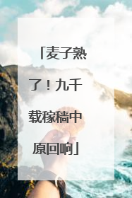 麦子熟了！九千载稼穑中原回响