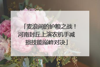 麦浪间的护粮之战！河南封丘上演农机手减损技能巅峰对决