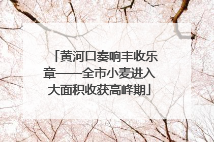 黄河口奏响丰收乐章——全市小麦进入大面积收获高峰期