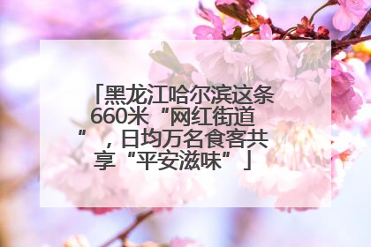 黑龙江哈尔滨这条660米“网红街道”，日均万名食客共享“平安滋味”