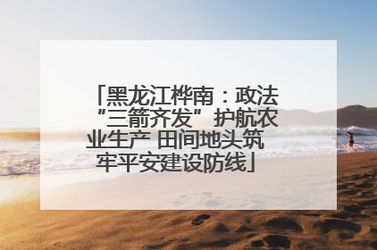 黑龙江桦南：政法“三箭齐发”护航农业生产 田间地头筑牢平安建设防线
