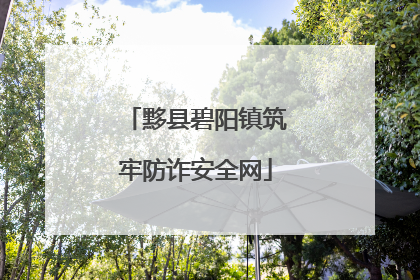 黟县碧阳镇筑牢防诈安全网