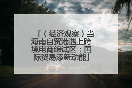 （经济观察）当海南自贸港遇上跨境电商综试区：国际贸易添新动能