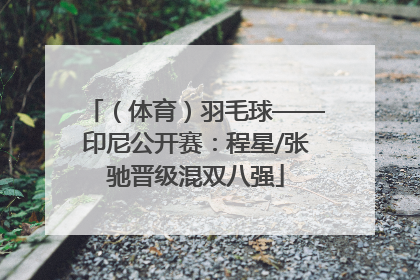 （体育）羽毛球——印尼公开赛：程星/张驰晋级混双八强