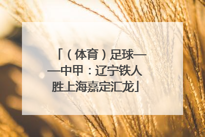（体育）足球——中甲：辽宁铁人胜上海嘉定汇龙