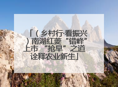 （乡村行·看振兴）南湖红菱“错峰”上市 “抢早”之道诠释农业新生