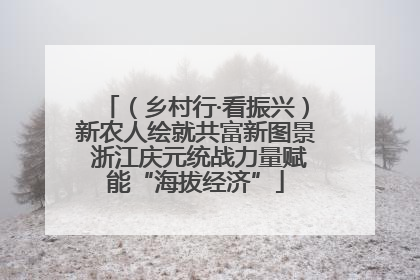 （乡村行·看振兴）新农人绘就共富新图景 浙江庆元统战力量赋能“海拔经济”