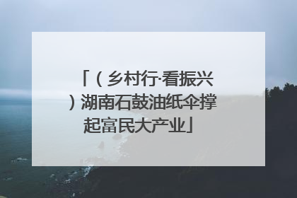 （乡村行·看振兴）湖南石鼓油纸伞撑起富民大产业
